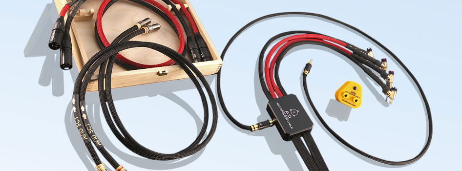 Avid HiFi